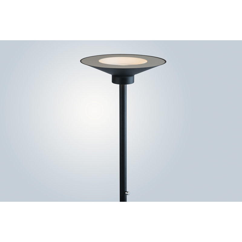Barrows 72'' LED Torchiere Floor Lamp, Black