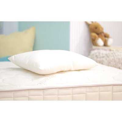 PLA Pillow with Organic Fabric