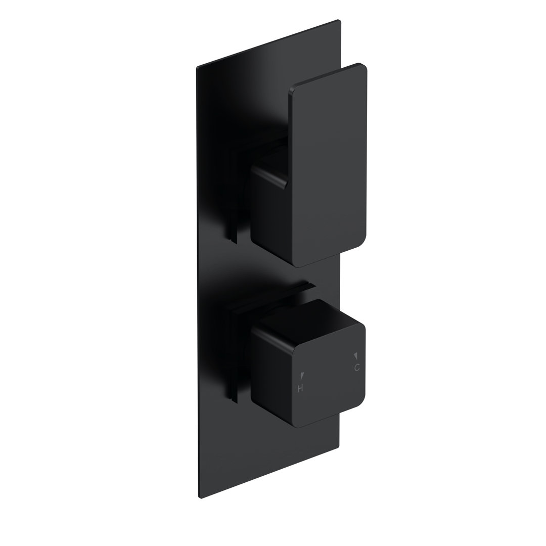 Twin Concealed Thermostatic Shower Valve