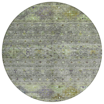  Machine Washable Indoor/Outdoor Chantille ACN1220 Rug