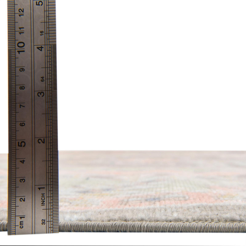 Matthei Oriental Indoor Rug, Rectangle 4' x 6'