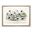 Assortment Of Bees by Oliver Goldsmith - Single Picture Frame Painting-57844119-57844117