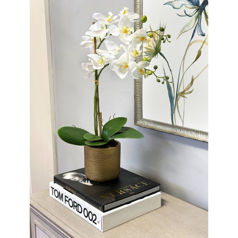 Orchid Arrangement in Fiberstone Pot with Moss