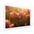 White Single Picture Framed