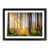 Black Framed