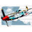 « p51 mustang » par rick martin, reproduction d’art sur bois blanc-19140614
