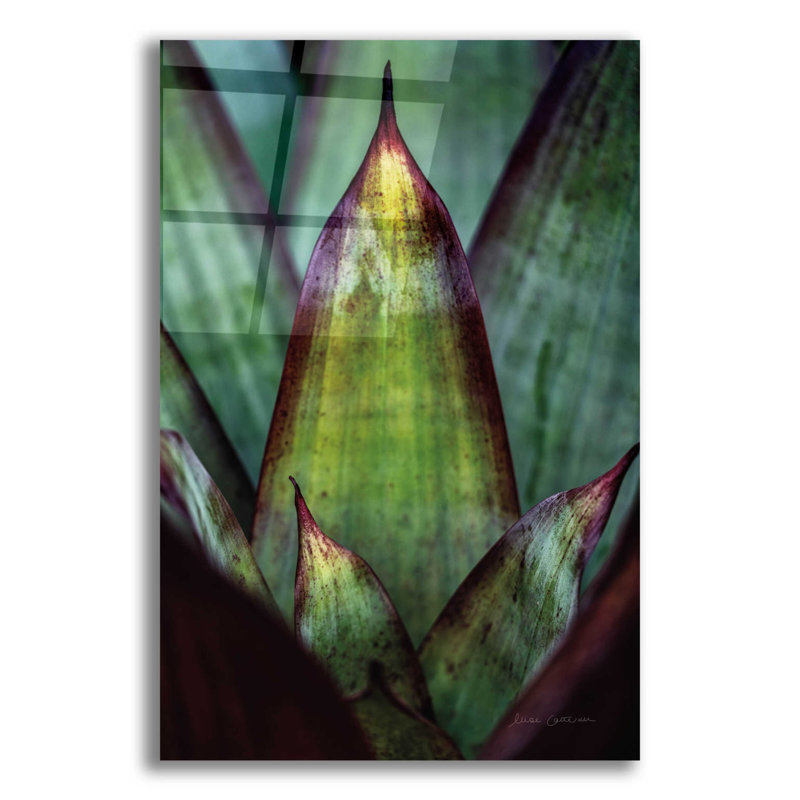 «Succulent Détail II» par Elise Catterall, art mural en verre acrylique, H 24 po x l 16 po x P 0,2 po