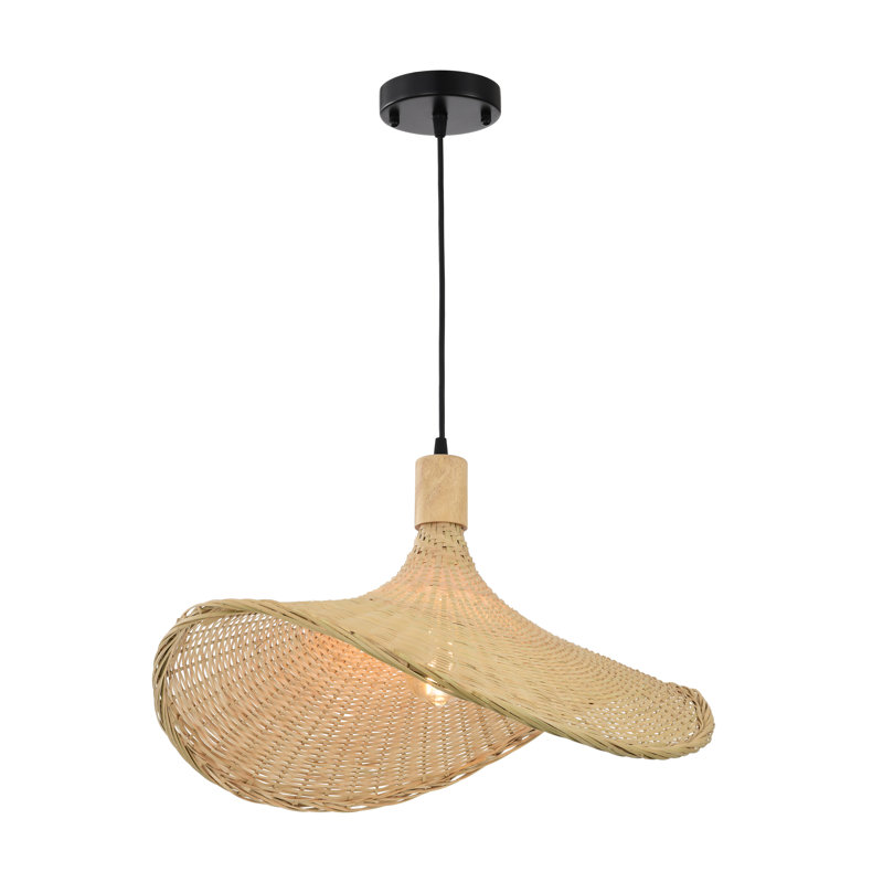 Luminaire suspendu noir 1 lumière Hofstade