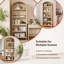 Bibliothèque Onetha-1293733289