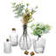 Glass Decorative Bottle-1422089259