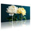 Pivoine, pivoines blanches et jaunes sur fond foncé, ensemble de 3 impressions sur toile-1851053220