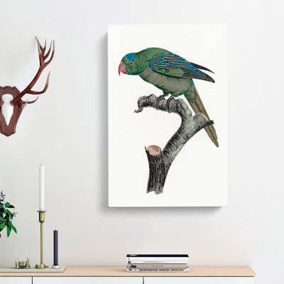 Blue-Naped Parrot by F. Levaillant - Wrapped Canvas