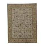 Wool Oriental Area Rug in Gold