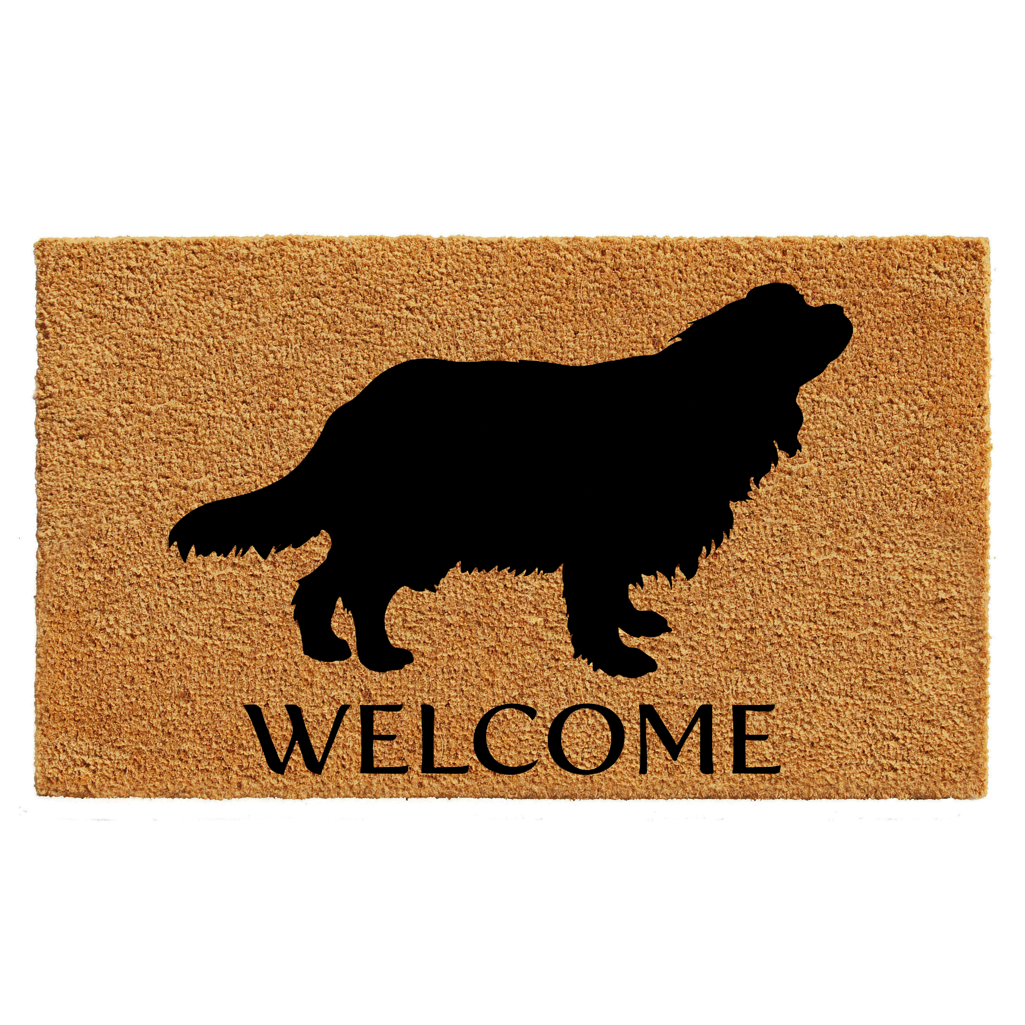 Rebrilliant Bourke Non-Slip Outdoor Doormat & Reviews