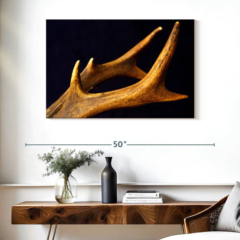 Brampt Deer Antlers