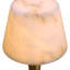 Scarlette Table Lamp