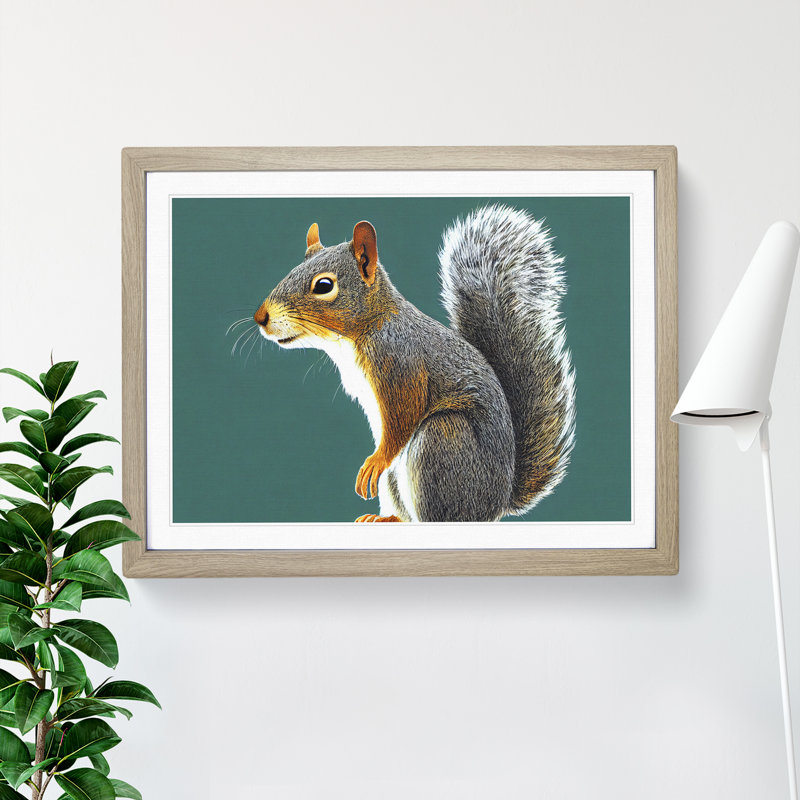 A Tantalising Squirrel - Framed Print, 34cm H x 46cm W x 2cm D, Oak