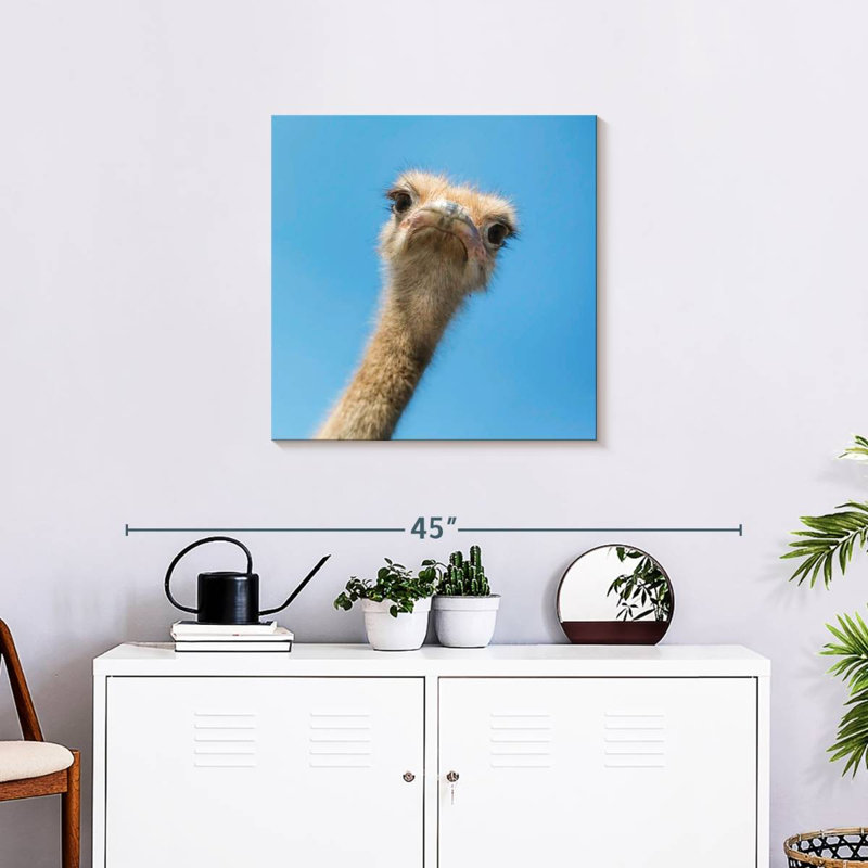 Crowle Curious Ostrich, 24" H x 24" W