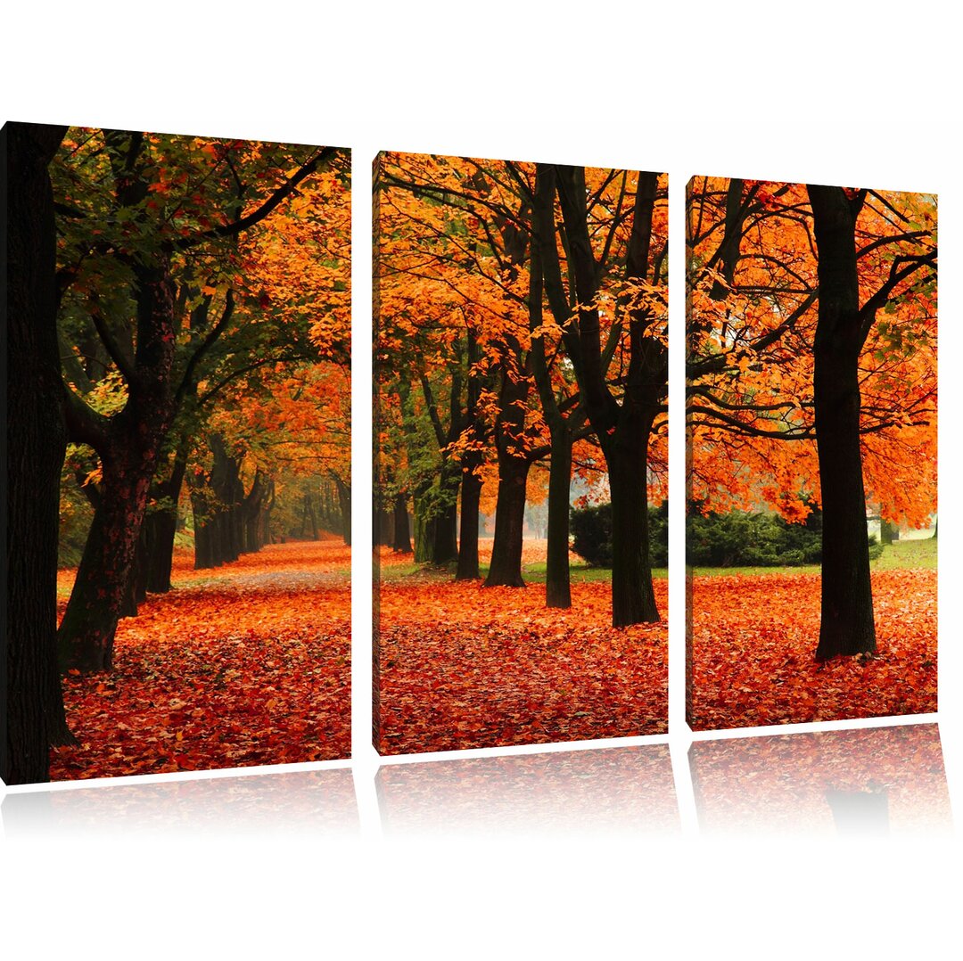 3-tlg. Leinwandbilder-Set „Baumallee im Herbst“, Fotodruck 