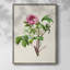 «Pretty Pink Botanicals», reproduction encadrée en bois massif-545838459