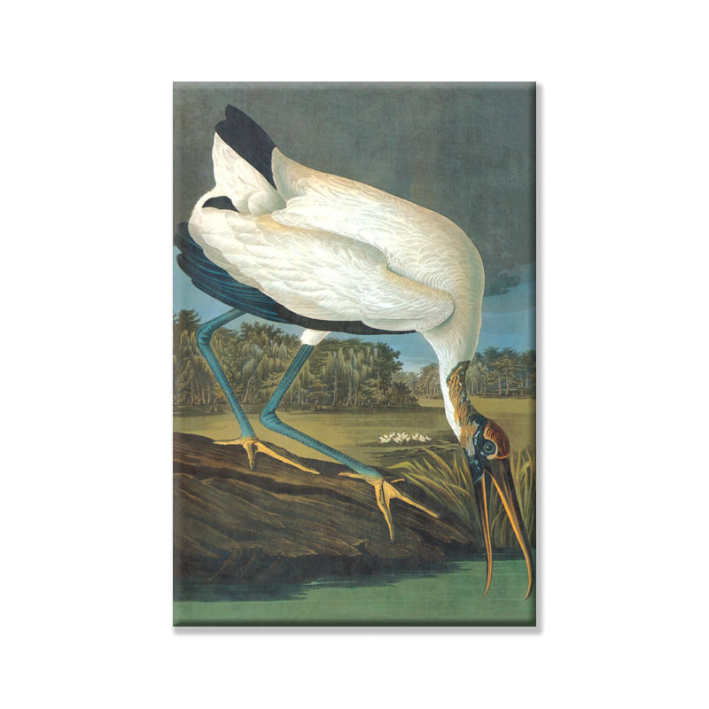 Reproduction d’art sur toile tendue stork en bois, 24 po x 36 po