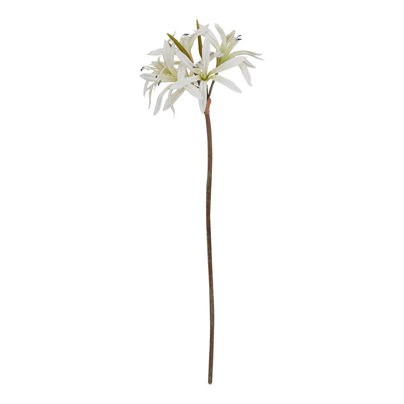 Anastasija Arrangement, White