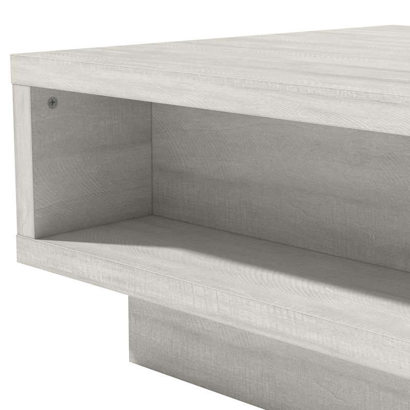 Caomhan Pedestal Coffee Table with Storage