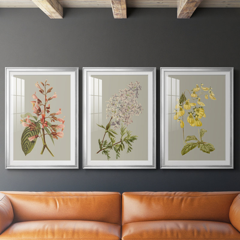 Botanical Array I - Impression personnalisée de qualité supérieure avec cadre mat - 3 pièces, H 19 po x l 27 po