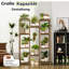 Callun Plant Stand