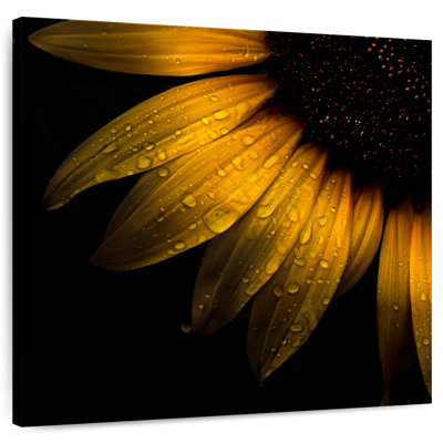 Harnek Sunflower Dews