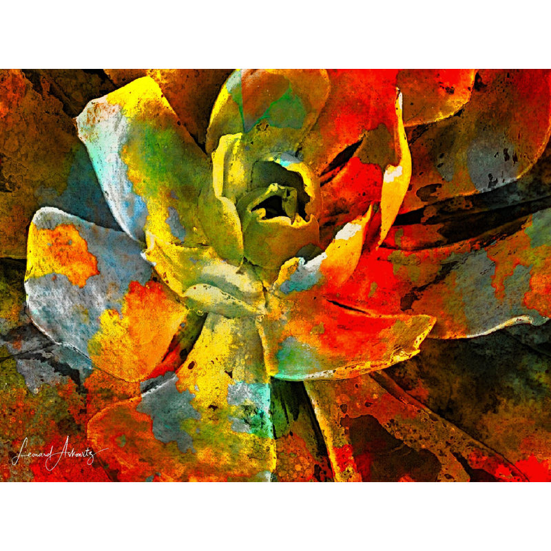 California Beauty Print by Leonard Askowitz