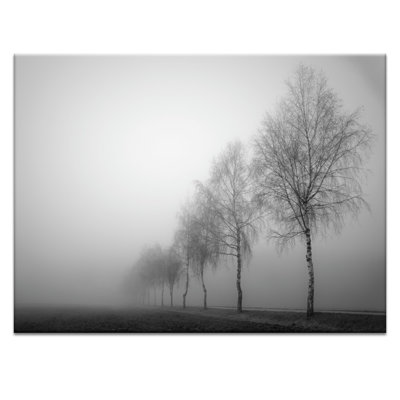 Print on Canvas