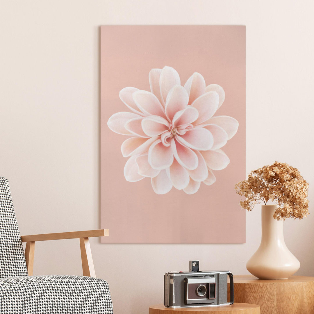 Leinwandbild Dahlia Pink Pastel White Centered