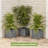 Calista 14.75" Lattice Design Planter Box - 13” Tall Square Decorative Outdoor Flower or Plant Pot-501048195-471666565