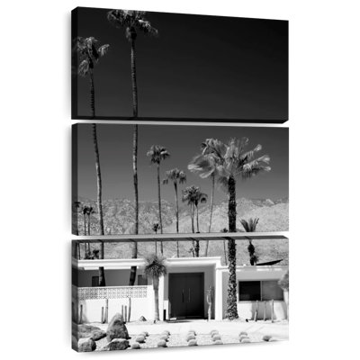 Lilie Black California Palm Springs II