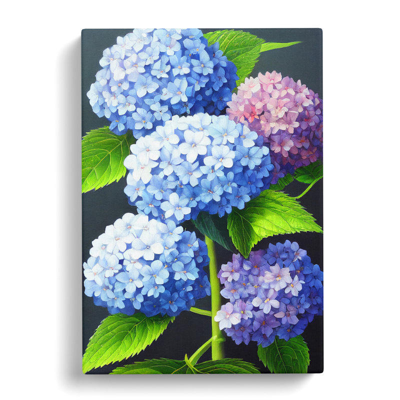 Demarest Hydrangea Flower Vol.1 - Wrapped Canvas, 50cm H x 35cm W x 3cm D