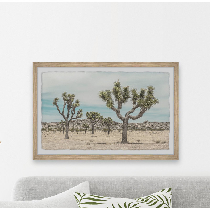 Desert's Beauty - Single Picture Frame Print, 41cm H x 61cm W x 3.81cm D