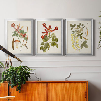 " Vintage Flowering Trees V " 3 - Pieces Painting Print