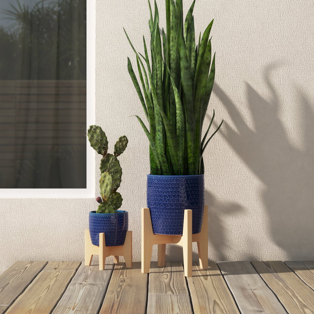Esquer Ceramic Pot Planter Mistana™