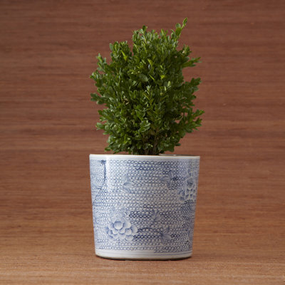 Swanley Ceramic Pot Planter