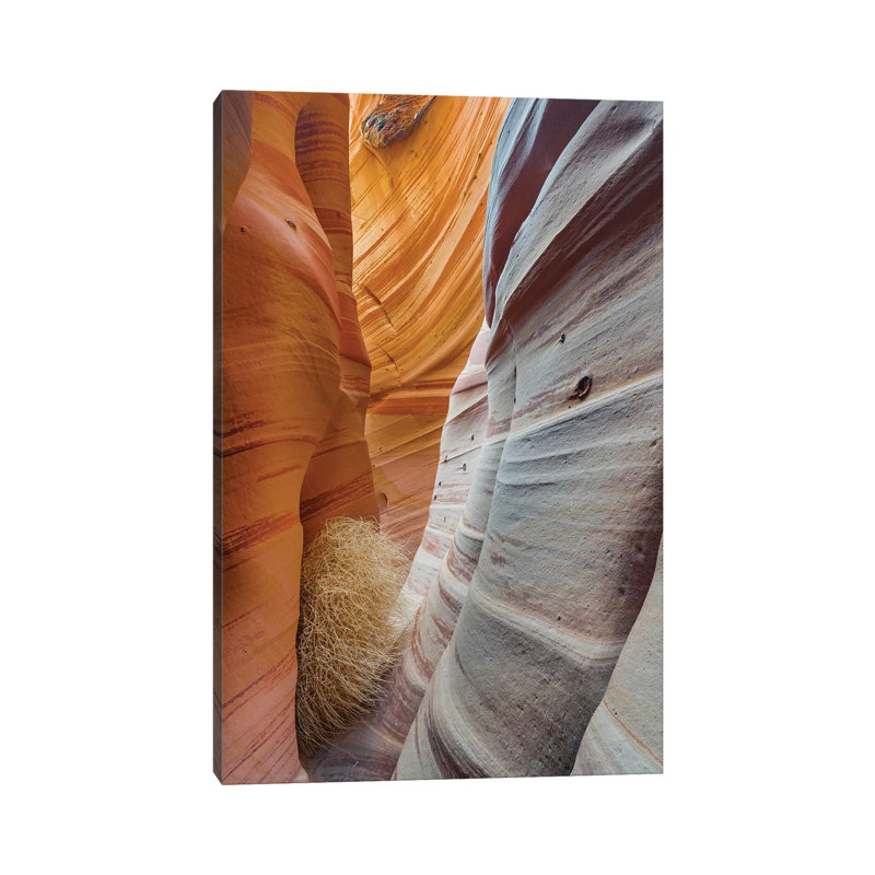 Slot Canyon, Zebra Canyon, Grand Staircase-Escalante National Monument, Utah by Jeff Foott - Wrapped Canvas Print