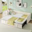 Daybed with Trundle-309876382