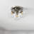 Aliahna Flush Mount-2066178540