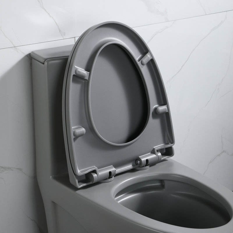 Light Grey Ceramic One-Piece Dual Flush Elongated Toilet