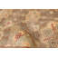 Tapis olive Antalya Vintage 6 pi 2 po x 8 pi 10 po