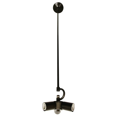 Pendant Canopy and Extension Rod