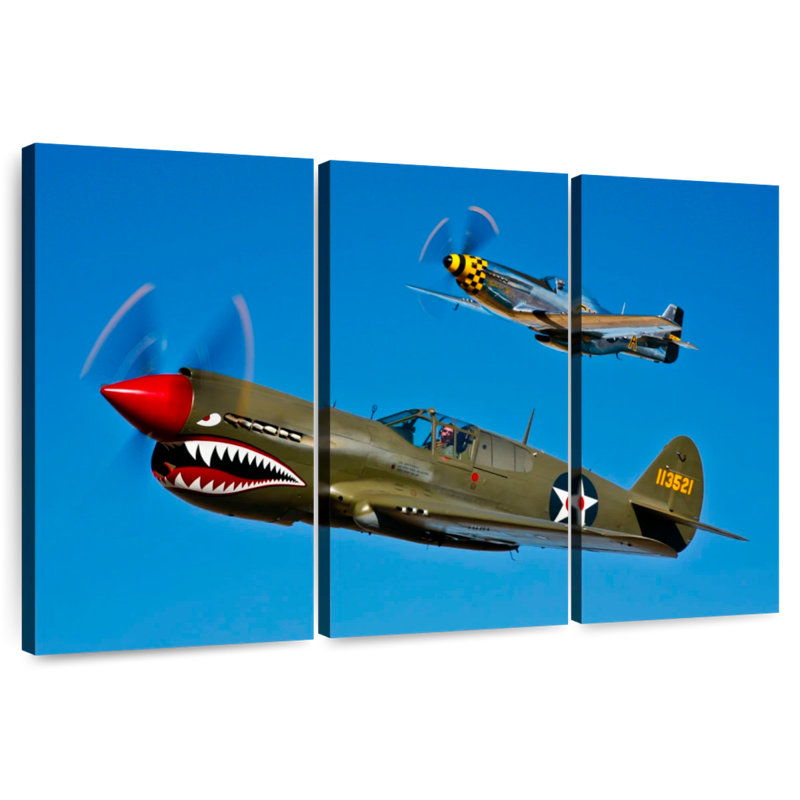 Mait A P-40E Warhawk et P-51D Mustang I, H 20 po x l 33 po