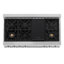 ZLINE 48" Porcelain Gas Stovetop in Fingerprint Resistant with 7 Gas Burners and Griddle-199662509