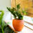 Intelligent Self-Watering Terracotta Planter Pot for All Plants and Spaces