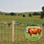 Farm Livestock Fence ,4Ft x 164Ft Agricultural Fencing for Yard, Heavy Duty Cattle Fence, Galvanized Welded Wire Fence for Deer, Cattle, Goat, Hog, Sheep, Animals and Field Protection